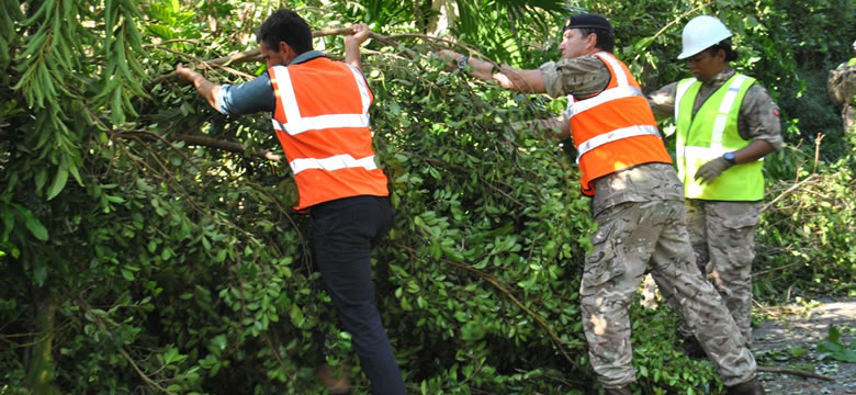 Minister Jeffrey Baron helping to clear trees after Hurricane Nicole