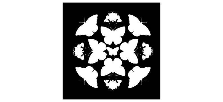 Kaleidoscope Arts Foundation