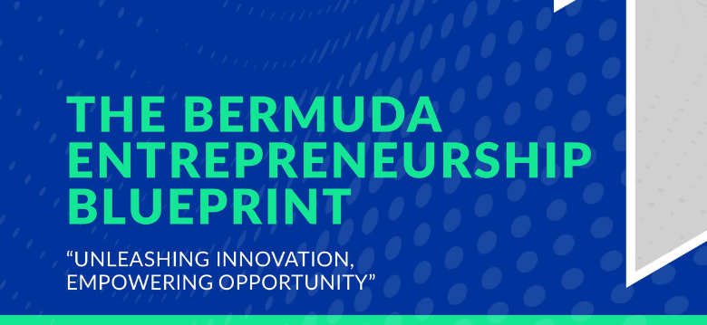 Bermuda Entrepreneurship Blueprint